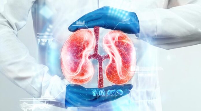 E a saúde dos seus Rins… como esta?