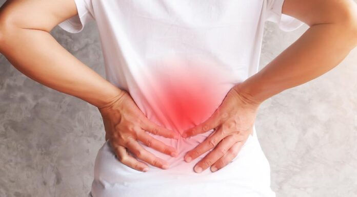 Cuidados com a Saúde dos Rins: Conscientização e Prevenção